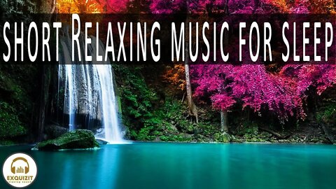 Relaxing music for sleep relax Exquisite relaxing sounds #shorts #shortvideo #youtubeshorts