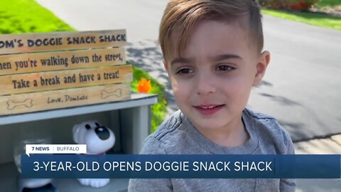 Three-year-old who loves dogs hands out treats at "Doggie Snack Shack"
