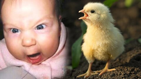 What Happens When Cute Babies Are Set Loose on a Farm | Adorable Babies on Farm