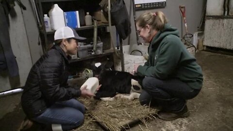 It’s National AG Week - Emily Lampa works on a dairy farm
