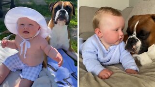 Best friends: Baby and doggy share special bond