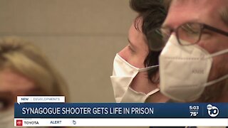 Poway synagogue shooter gets life in prison