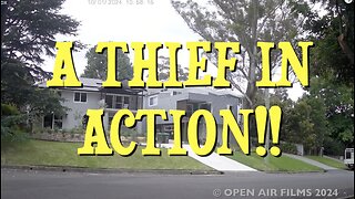 A THIEF IN ACTION!!