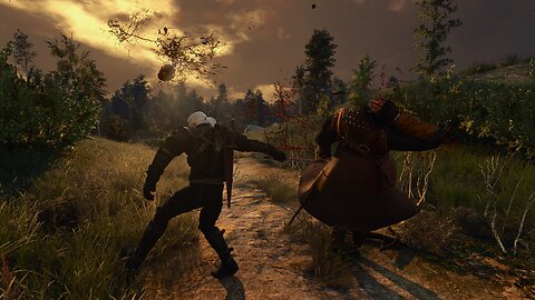 Witcher 3, RTX ON