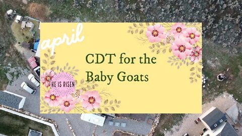 CD&T for the Baby Goats