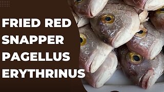 Greek cuisine. Fried red snapper (Pagellus erythrinus)!!! 20/5/2023.