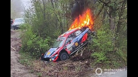 The Best of WRC Rally 2020 | Crashes, Action