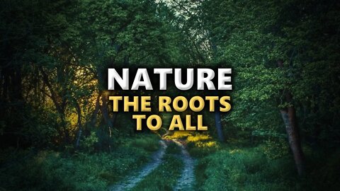 Why Nature Is The Roots To All Our World.