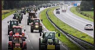 Przeciwstawiając się zakazowi, holenderscy rolnicy używają traktorów,