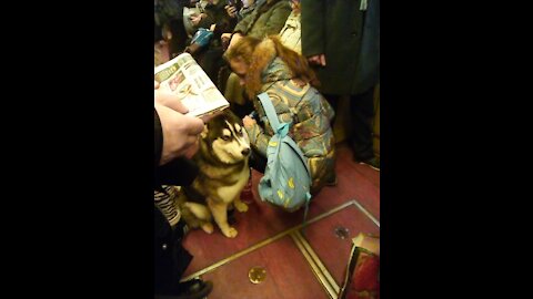 little girl with her dog in metro