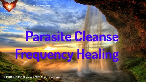 Parasite Cleanse V2 Frequency Healing - Get Rid Of Nasty Worms, Flukes And Other Parasites