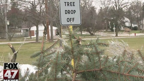 East Lansing collecting tree donations