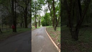 Pista de Corrida, Parque Olhos d’água, Brasília - DF