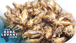 Elites continue push for insects on our dinner plates