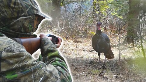 April Turkey Hunting In Idaho - Shot Fired!