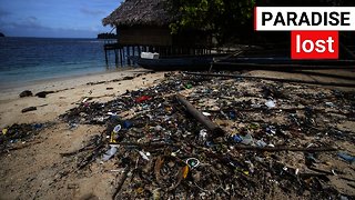 Conservationist finds island covered in rubbish