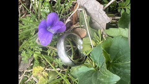 Lost titanium ring found!