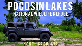 Exploring Pocosin Lakes National Wildlife Refuge Overland Trails - Jeep JK Rubicon Recon Offroad