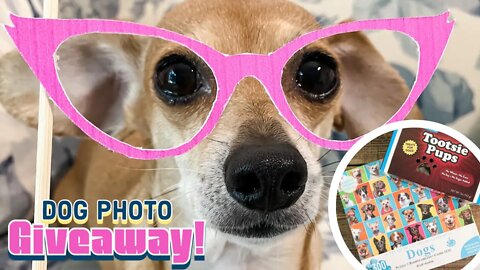 Win this National Dog Photo Day GIVEAWAY!