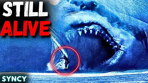 REAL PROOF Shows MEGALODON is Still Alive