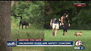 Unleashed dogs are a safety concern