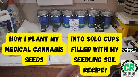 I show how I plant my medical cannabis seeds in solo cups filled with my Fox Farm OF/HP soil!