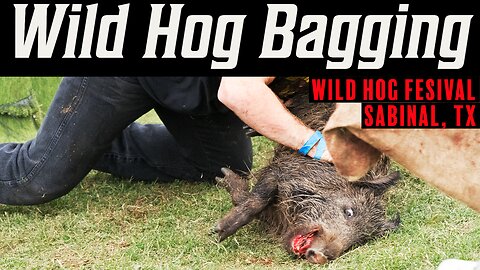Sabinal Wild Hog Festival Exposed