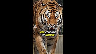 Men conquer