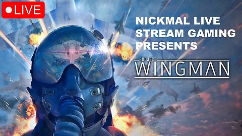 Rebellion From The Skies! | Project Wingman VR | LIVE STREAM | Part 2