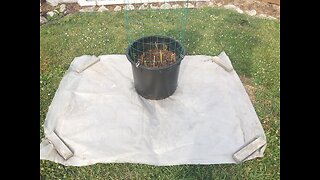 Harvesting Yukon Gold Potatoes From A Pot 6/22/23