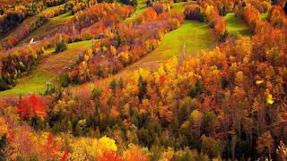 A Lookout Hike In Ontario Lets You Gaze Over A Gorge Filled With Fall Colours