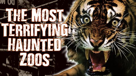 TOP 5 Most Haunted & Scary Zoos Filled With Ghosts of People & Animals
