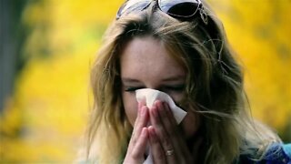 Finding relief from spring allergies