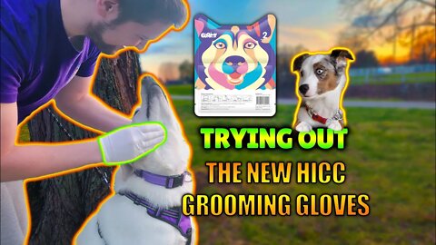 Testing out The Grooming Glove Wipes from HICC GROOM!