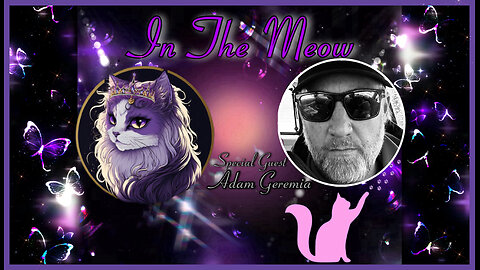 In The Meow | With Special Guest Adam Russel Geremia