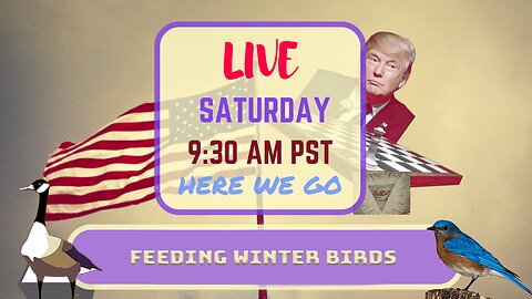 Saturday *LIVE* Feeding Winter Birds Edition