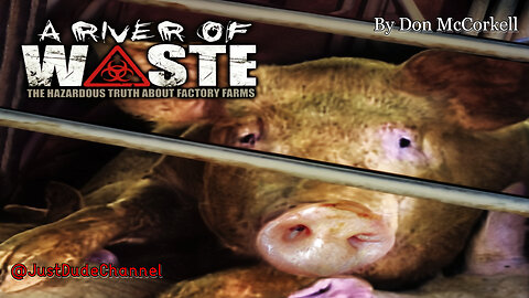 A River Of Waste: The Hazardous Truth About Factory Farms | Don McCorkell