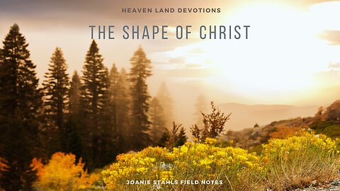 Heaven Land Devotions - The Shape of Christ