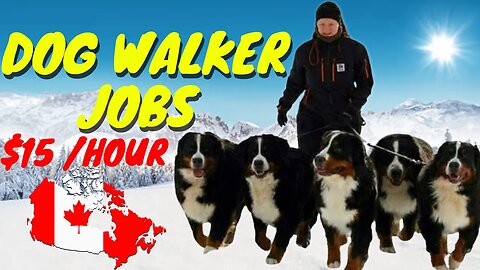 Dog Walker Jobs in Canada With High Paying Salaries APPLY NOW
