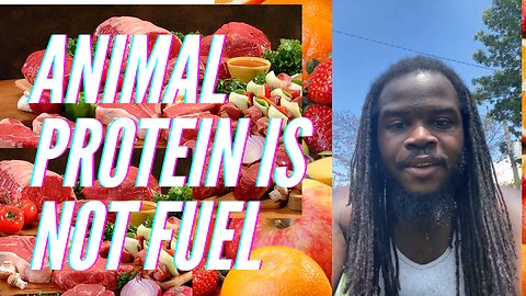 ANIMAL PROTEIN Is Not FUEL it is a DNA code!!!!