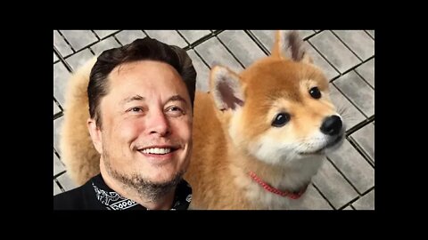Elon Musk Just Got His Dogecoin Dog!!! SHIBA INU FLOKI DOGE SPIKE!!!