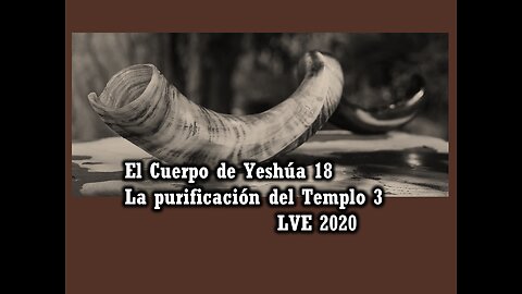 El Cuerpo de Yeshúa 18 - La purificación del Templo 3