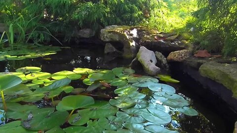 Ambient Sounds & Visuals Of A Zen Garden - Original Content