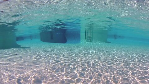 360 Underwater Tour of the Texas Pool