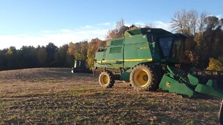 2020 soybean harvest goes on