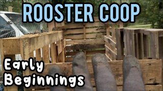 Rooster Coop Early Beginnings - Ann's Tiny Life and Homestead