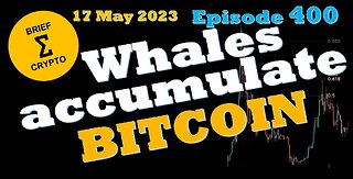 BriefCrypto - WHALES ACCUMULATE BITCOIN!! Follow the Whales