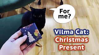Vilma Cat: Christmas Present