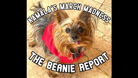 The Beanie Report Ep. 2: Kamala's March Madness