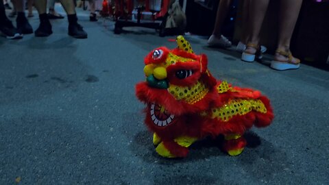 Best Lion Dance Toy Ever Chinese New Year CNY Perth Western Australia